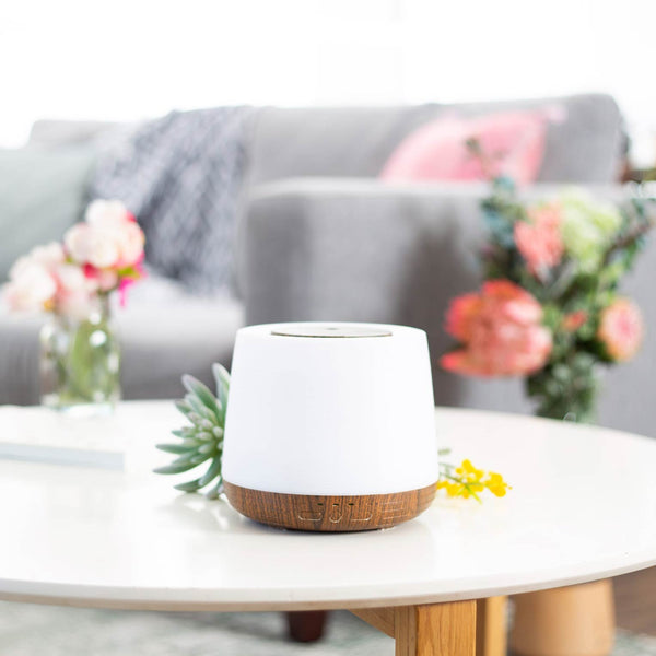 Lively Living Aroma Home + Bonus Oil Blend