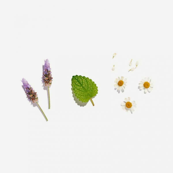 Love Tea - Calming