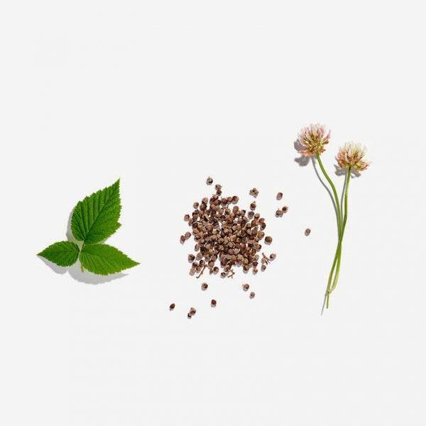 Love Tea - Fertility