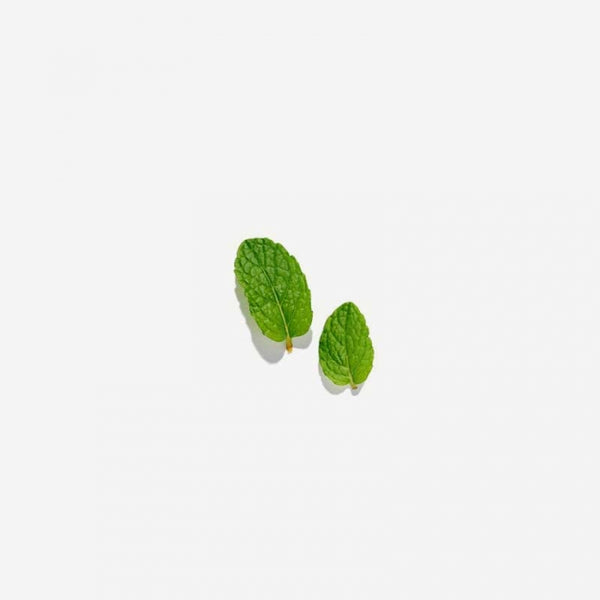 Love Tea - Peppermint